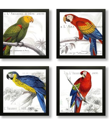 Saf - Art Prints With Frame