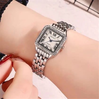 Valencia-Stainless Steel / Watch / Silver