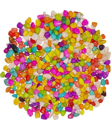 Somil Multicolor Pabbles/Stone For Garden, Plants, Aquarium & Home Decor Wt. 450g