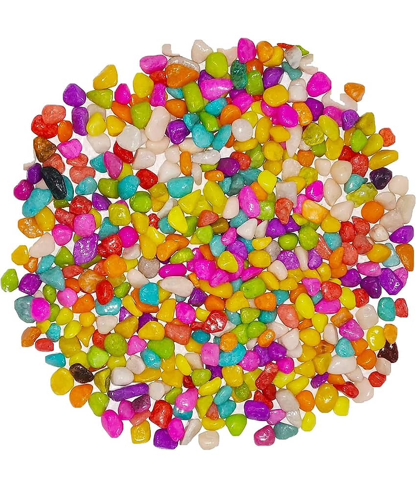 Somil Multicolor Pabbles/Stone For Garden, Plants, Aquarium & Home Decor Wt. 450g