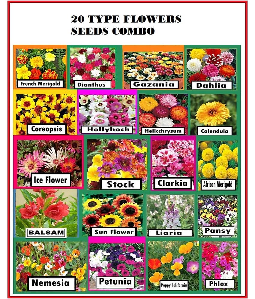 20 different type flower seed combo pack 300 + seeds with free cocopeat and user manual