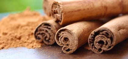 NUTZ PLUZ DELIGHTZ CINNAMON STICKS 100g