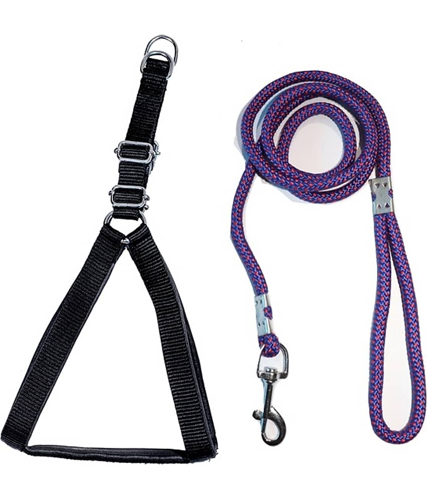 Tame Love - Multicolor Dog Combo (Small)