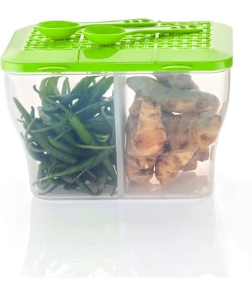 FIT4CHEF Fridge Storage Box PET Green Multi-Purpose Container ( Set of 1 )
