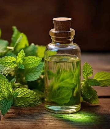 Mint Leaf Hydrosol Extract 100 G