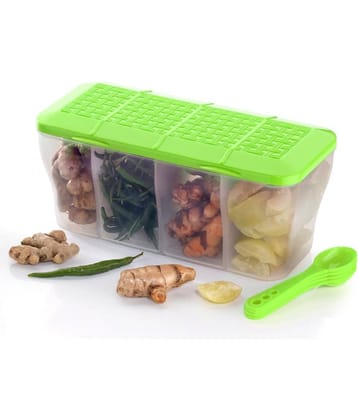 MAGICSPOON Fridge Storage Plastic Green Spice Container ( Set of 1 )