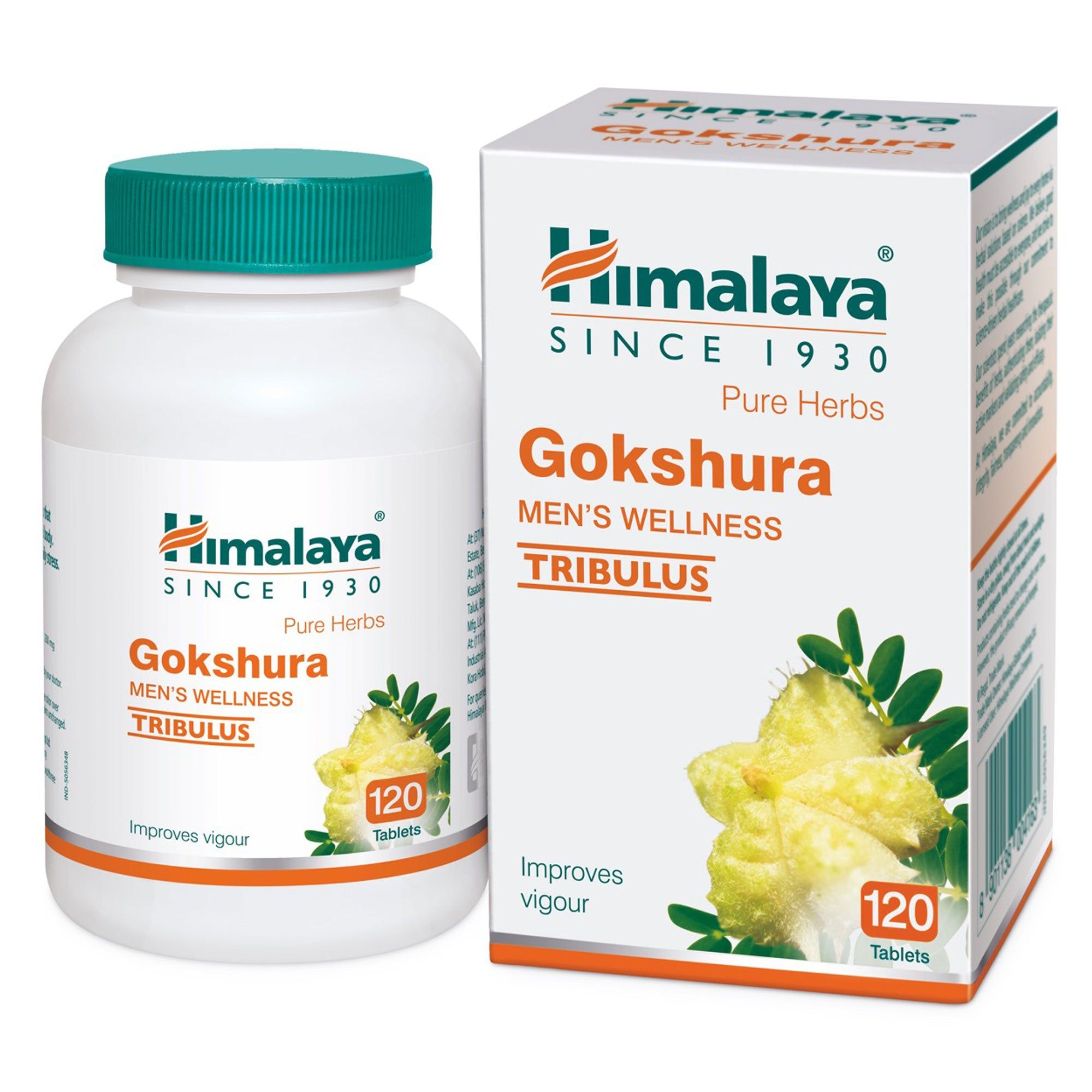 Gokshura 120 no.s