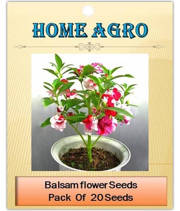 homeagro - Balsam Mixed Flower ( 20 Seeds )