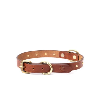SMALL DOG COLLAR RD. STUD-Tan / Small