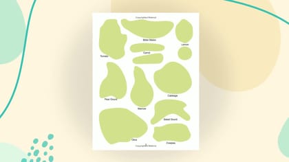 Play with Sticker - Vegetables [Paperback] Dreamland Publications