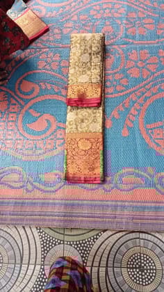 Exquisite Sarees Grace and Elegance Personified Exquisite Sarees Grace and Elegance Personified