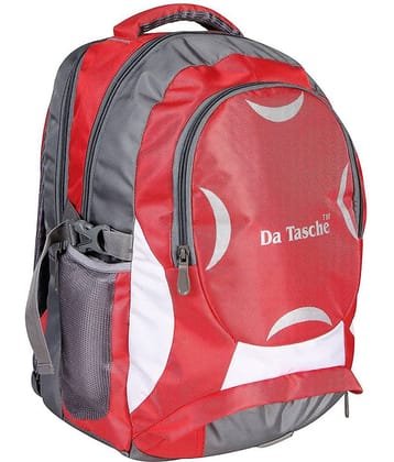 Da Tasche Gray 35 Ltrs School Bag for Boys & Girls