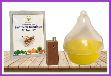 Bactrocera cucurbitae Melon Fly pheromone Lure and Mac Phill Trap Pack of 02