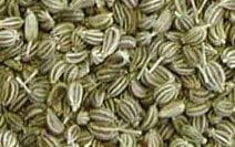 Alkaloid Ajowan, Ajmo (Carum Copticum)