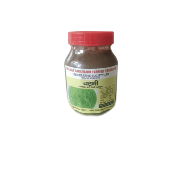 Chutney ( adrak, hari mirch, lahsun) - 200 gm