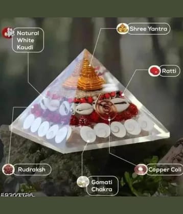 BHARDWAJ REATIS Gomti Chakra 1 ( Pack of 1 )