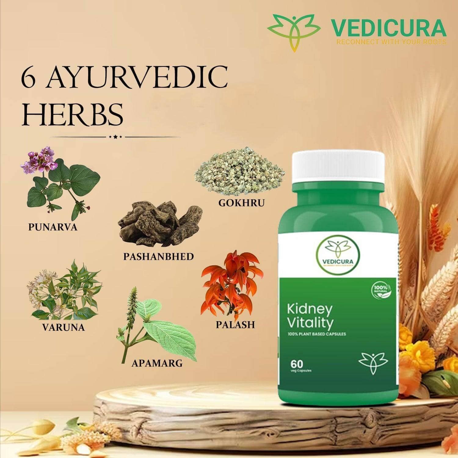Kidney Vitality