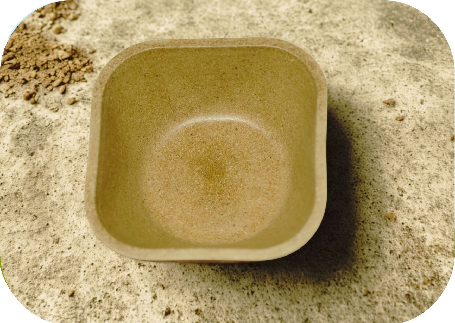 Biodegradable & Compostable Plates  Rice Husk Tableware - 100 Square Bowl  (Single-use, Eco-Friendly, 100% Natural, Plastic-Free)