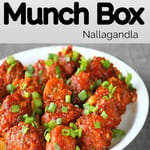 Munch Box