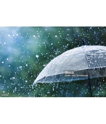 Infispace White 3 Fold Umbrella - White