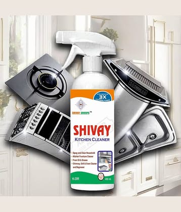 SHIVAY GROUPS SHIVAY Grill Cleaner Spray ORANGE 490 mL Pack of 2