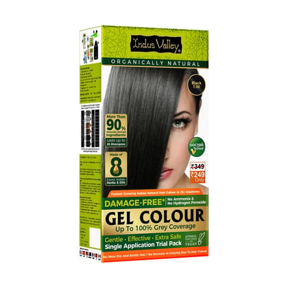 INDUS VALLEY Damage Free Natural Gel Hair Colour for Women | Ammonia & PPD Free Organic Hair Colour with 100% Grey Coverage, Long Lasting Hair Color Trial Pack (Black, 65 ml) INDUS VALLEY Damage Free Natural Gel Hair Colour for Women | Ammonia & PPD Free