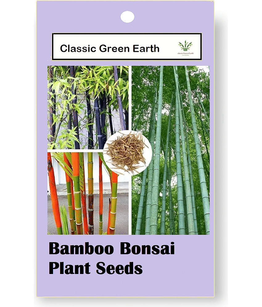 CLASSIC GREEN EARTH - Grass Seeds ( Bamboo Bonsai Plant Seeds 40 )