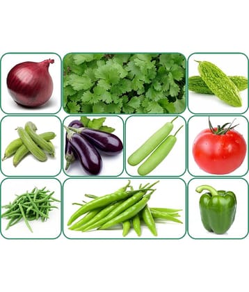 Aero Seeds 10 variety vegetable seeds combo pack with instruction manual.