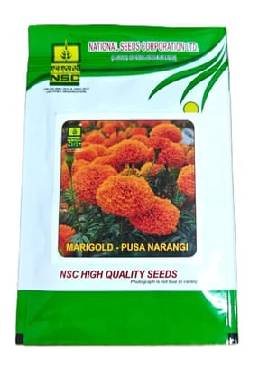 NSC Marigold Pusa Narangi Flower Seed 