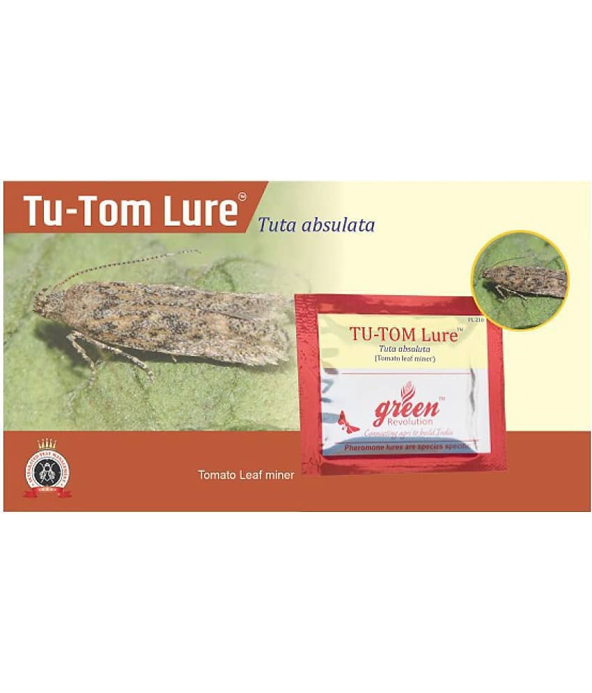 Tu-Tom Pheromone Lure (Tuta absoluta) for tomato leaf miner pheromone trap pack of 10 only lures