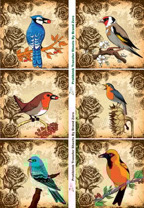 Brand Zero Pratibimb Transfer Sheets - Birds All Around