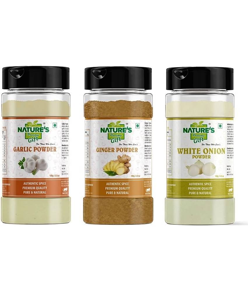 Natures Gift - 100 gm Ginger powder (Pack of 3)
