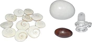 Real Seed Sacred Combo- Marble Shivling, Sphatik Shivling, Narmadeshwar Shivling Rudri, 11 Gomti Chakra Set (Naag Chakra Yantra)