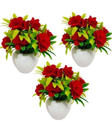 Green plant indoor Rose Multicolour Flowers With Pot - Pack of 3