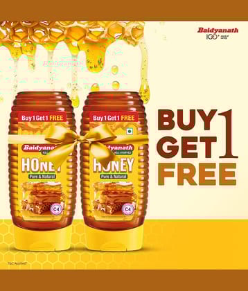Baidyanath Squeeze Honey 400gm (Pack of 2)