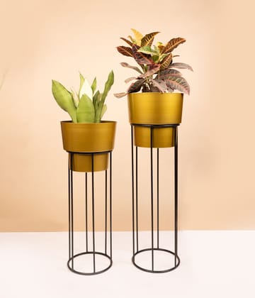 Indoor Golden Metal Planter With Stand - Set of 2