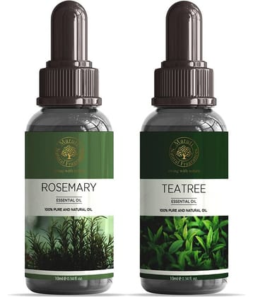 Maruti Natural Fragrances - Rosemary Essential Oil 20 g ( Pack of 2 )