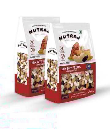 Nutraj Mix Dry Fruits PanchMeva 1 Kg (500g X 2) | Nutritious Blend of Dry Dates, Black Raisins, Raisins, Cashew Nuts & California Almonds | Trail Mix Healthy Snacks