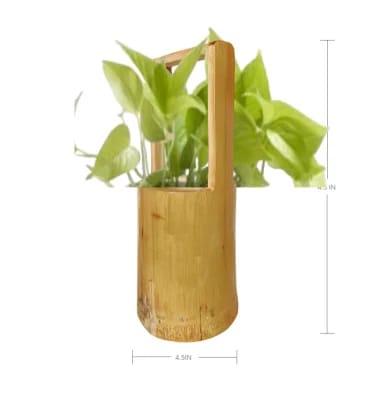 Eco-Friendly Bamboo Hanging Planter