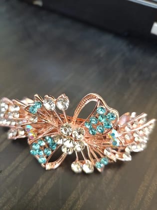 Glamorous HAIR CLIPS for Every Occasion