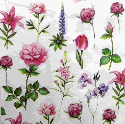 Decoupage Napkin / Tissue papers - DGT1877  (White background)