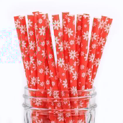 Christmas Theme Paper Straws