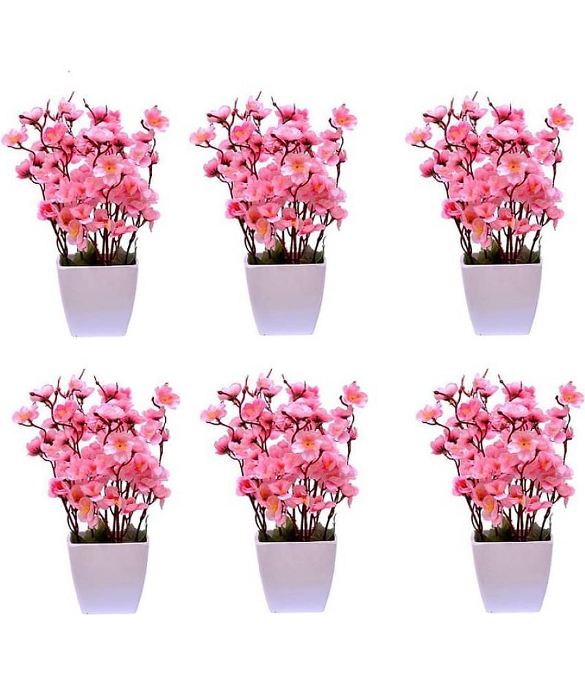 Green plant indoor Orchids Multicolour Flowers With Pot - Pack of 6