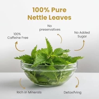 GRIVVA ORGANIC Nettle Leaf Herbal Tea 100% Pure Natural Cut Leaf Detox and Immunity Boost Caffeine-Free Wellness Tea Rich in Iron and Antioxidants 50g Reusable Jar