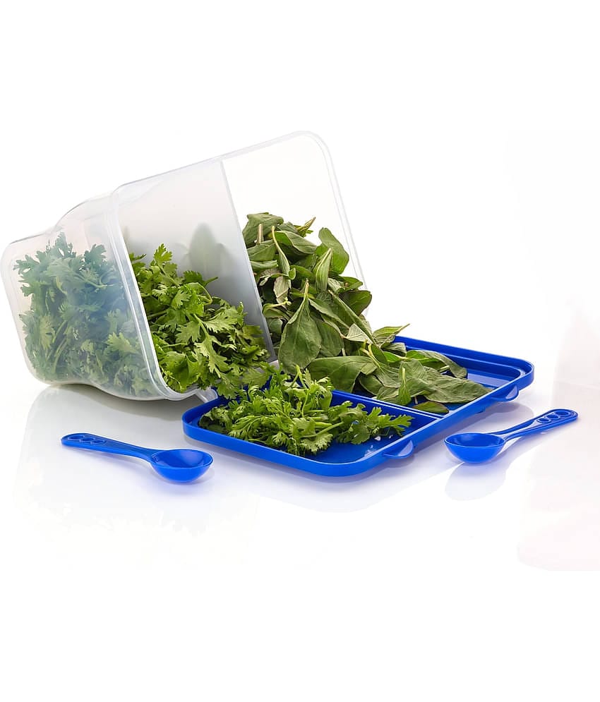 FIT4CHEF Fridge Storage PET Blue Multi-Purpose Container ( Set of 1 )