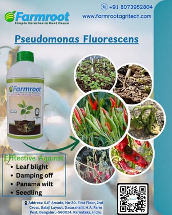 FARM PSEDOMONOUS FLUORESCENS - 1*10 Lt