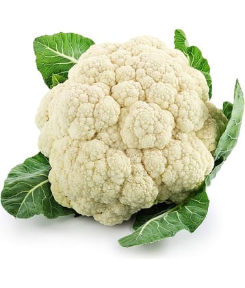 Hybrid Rare Cauliflower Seeds Pack for Terrace Garden