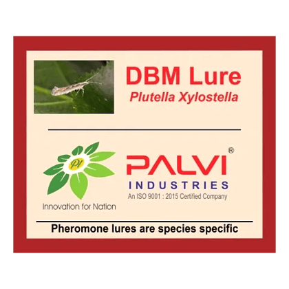 Diamond back Moth  by Palvi industries