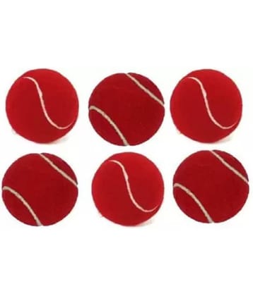 Port Rio Port Cricket Hard Tennis Ball