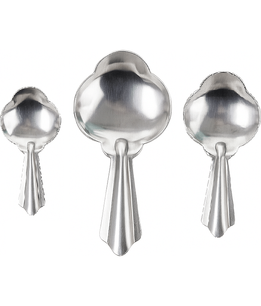 Dynore Stainless Steel Measuring Spoons ( Pack of 1 )